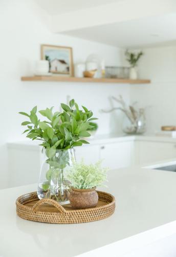 coastal-kitchen-greenery